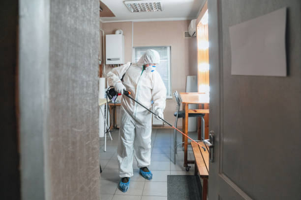 Medina, TN Mold Removal Company